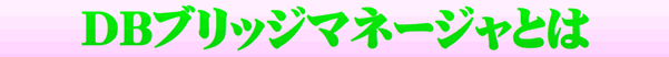 DBブリッジマネージャとは?