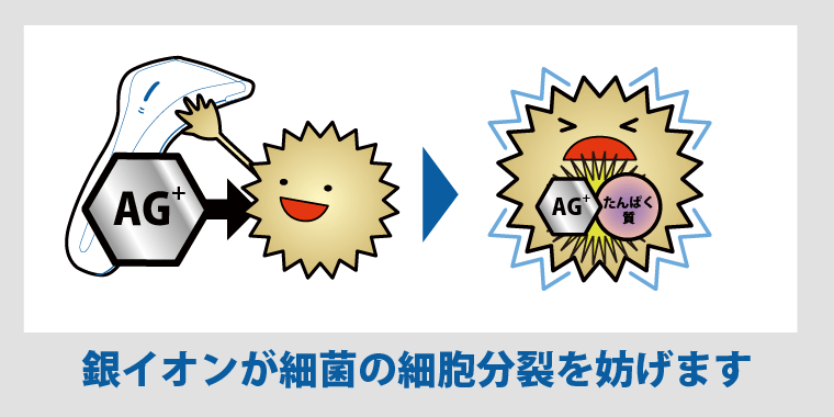 効果は半永久的！抗菌ボディ