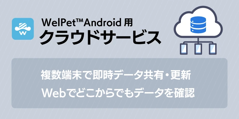 ChatComWEB