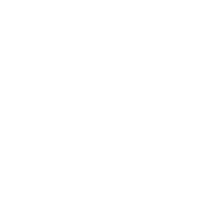 CountThings™